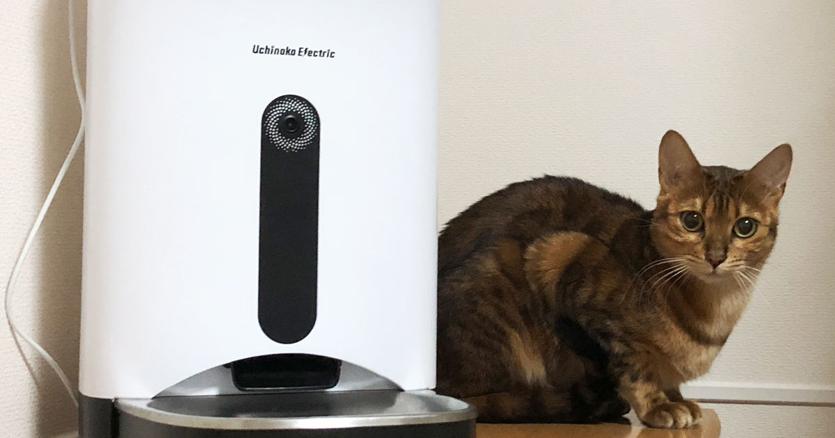 猫と中・小型犬用自動給餌器、カリカリマシーン3種類使ったので、それぞれのレビューとおすすめ機種の紹介