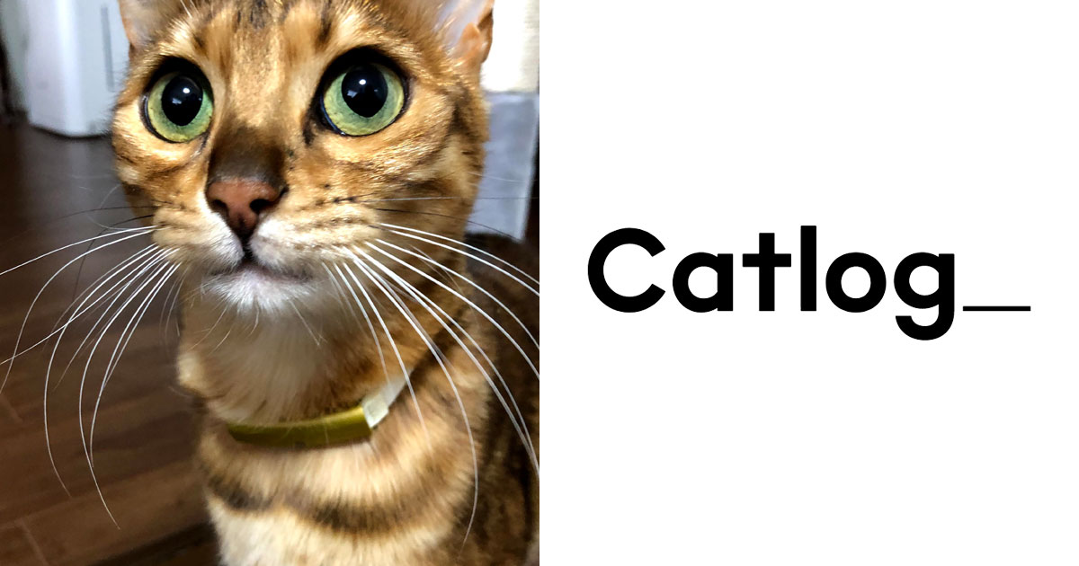 #Catlog を購入したので、セットアップをしてみた